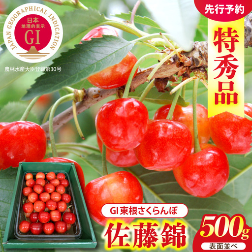 2027年産 GI東根 さくらんぼ 佐藤錦 500g さくらんぼ
