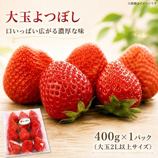  大玉 よつぼし 1パック 400g 大玉 2L以上サイズ 【 いちご 】