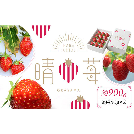 晴苺(はれいちご)[数量限定50セット]※2027年1月下旬から発送開始