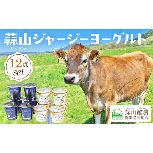 蒜山ジャージーヨーグルト 12点セット(H-972)