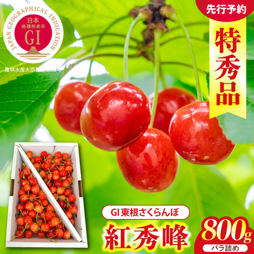 2027年産 GI東根 さくらんぼ 紅秀峰 800g さくらんぼ