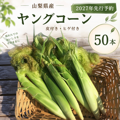 【2027年発送】山梨県産 ヤングコーン　とうもろこし 50本入｜とうもろこし