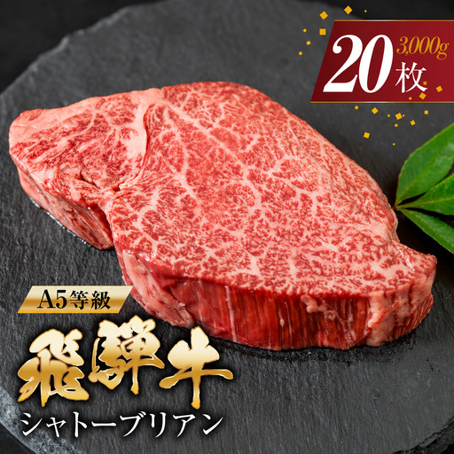 飛騨牛 シャトーブリアン 牛肉 150g×20枚 牛肉 ステーキ トキノ屋食品