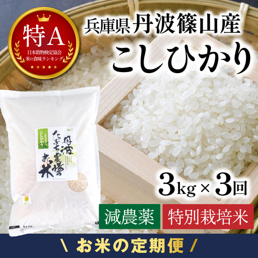 定期便 新米  丹波篠山産 特別栽培米コシヒカリ 精米 3kg×3回 定期便