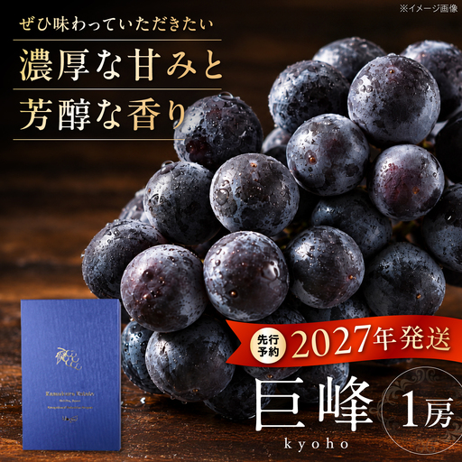 [2027年発送 先行予約]種なし巨峰1房 BKBI003 ぶどう