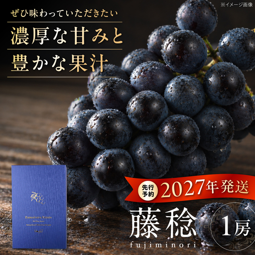 【2027年発送 先行予約】種なし藤稔1房 BKBI005 ぶどう