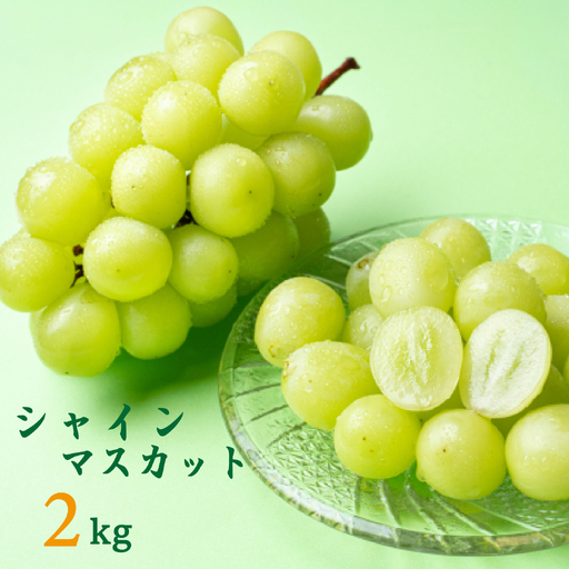ぶどう 小林市産シャインマスカット 約2kg