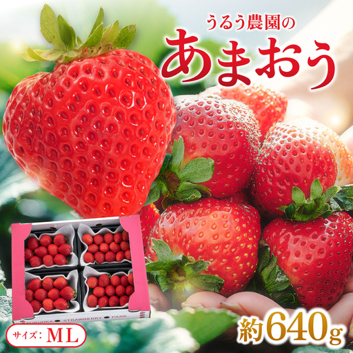 【2027年3月～4月発送】うるう農園のあまおう(MLサイズ)約160g×4P(約640g)