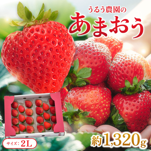 【2026年12月～2月発送】うるう農園のあまおう(2Lサイズ) 約220g×6P(約1320g)