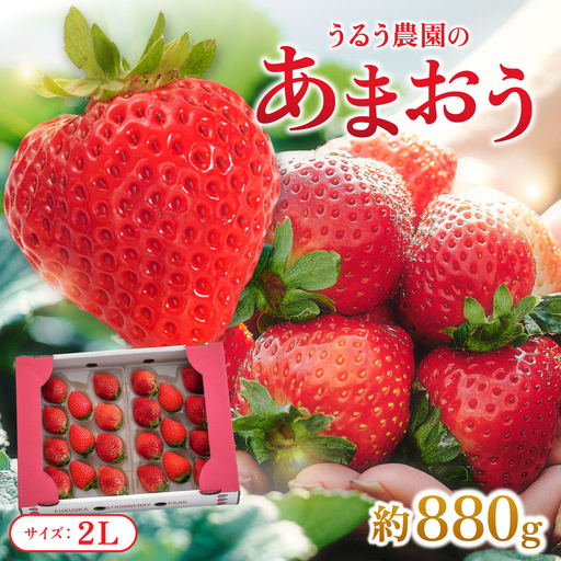 【2027年3月～4月発送】うるう農園のあまおう(2Lサイズ)約220g×4P(約880g)