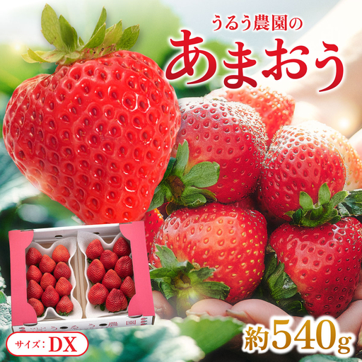 【2026年12月～2027年2月発送】うるう農園のあまおうDX 約250g～270g×2P(約540g)