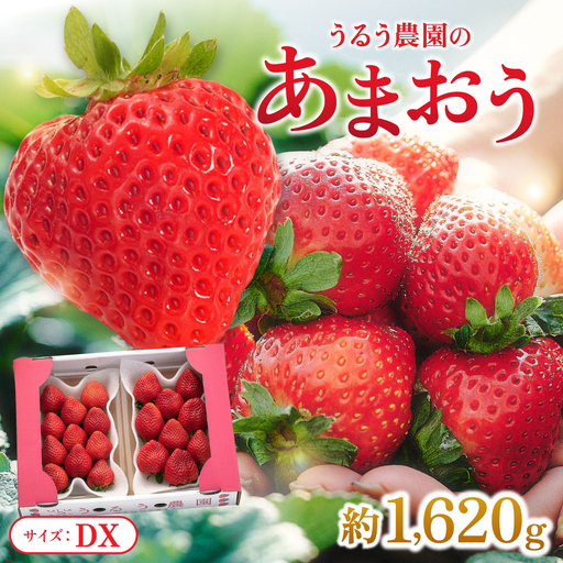 【2026年12月～2027年2月発送】うるう農園のあまおうDX 約250g～270g×6P(約1620g)