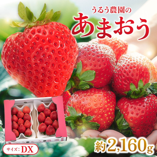 【2027年3月～4月発送】うるう農園のあまおうDX 約250g～270g×8P(約2160g)
