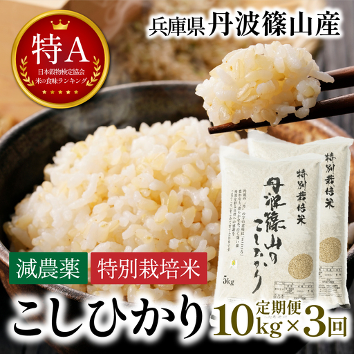 玄米 定期便 新米 丹波篠山産 特別栽培米コシヒカリ 10kg×3回 定期便 玄米