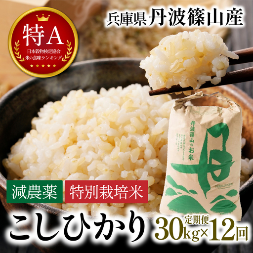 玄米 定期便 新米 丹波篠山産 特別栽培米コシヒカリ 30kg×12回 定期便 玄米