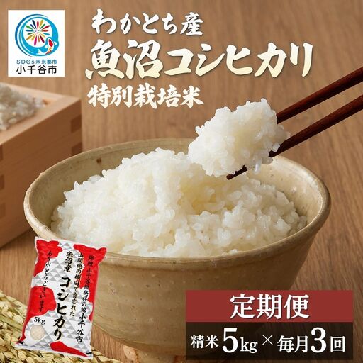[3か月定期便 魚沼産コシヒカリ 錦鯉デザイン]令和8年産 新米 特別栽培米 棚田米 精米 合計15kg(5キロ×毎月お届け全3回)