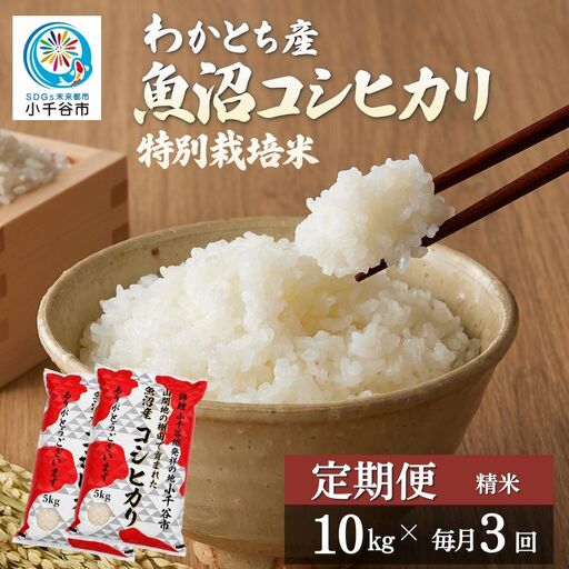 [3か月定期便 魚沼産コシヒカリ 錦鯉デザイン]令和8年産 新米 特別栽培米 棚田米 精米 合計30kg(10キロ×毎月お届け全3回)