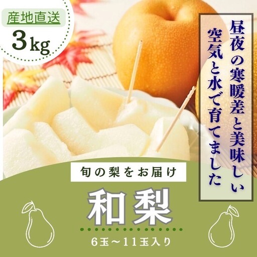 秋の味覚 和梨(幸水・豊水・新高・南水) 家庭用 約3kg 和梨 フルーツ 果物 産地直送 デザート[BARUバイオジャパン吉村(株)][B2-9908]