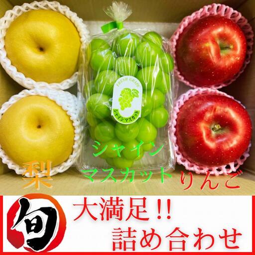 旬のフルーツ詰め合わせ シャインマスカット 梨 りんご 和梨 秋田県産 果物セット 旬の味覚 秋ギフト 贈答 ギフト 産地直送 皮ごと食べられる 種なし フルーツ ギフトセット 化粧箱入り [[BARUバイオジャパン吉村(株)][B6-9902]