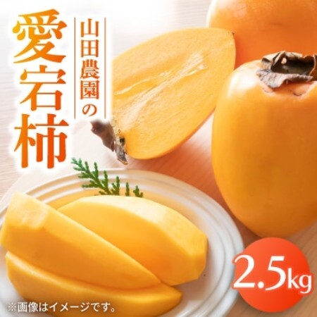 山田農園の愛宕柿　2.5kg【1655578】