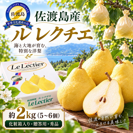 【2026年12月上旬より順次発送】佐渡島産 ル レクチエ 約2kg（5～6個）化粧箱入り・贈答用・秀品