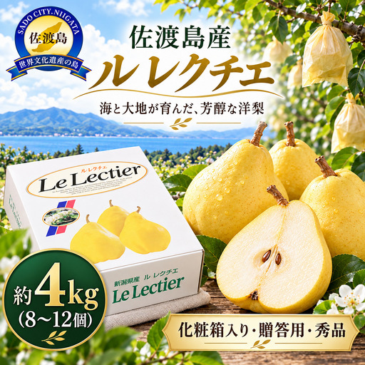 【2026年12月上旬より順次発送】佐渡島産 ル レクチエ 約4kg（8～12個）化粧箱入り・贈答用・秀品