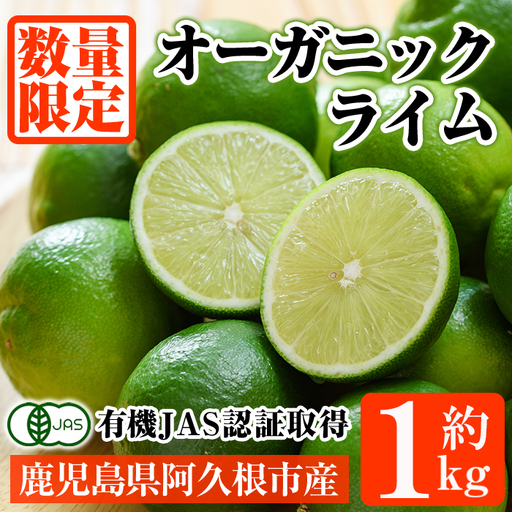 数量限定！有機JAS オーガニックライム(約1kg) 国産 果実 果物 フルーツ 柑橘 デザート 期間限定 有機栽培 健康志向 【中村農場】akn084-12