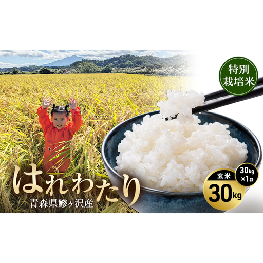 令和8年産 米 特別栽培米 はれわたり 30kg [玄米] 青森県産 新米 先行予約 30キロ (30kg×1) 特A 大容量 鰺ヶ沢町 送料無料《H.GREENWORK》 【10月中旬以降順次発送】