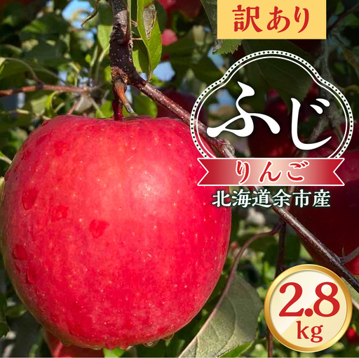 【先行予約：2026年12月上旬より発送】訳アリ りんご（ふじ）2.8kg【北海道余市町産】_Y103-0073