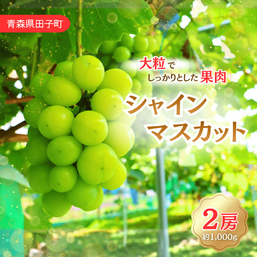 青森県田子町産 ぶどう「シャインマスカット」 1kg