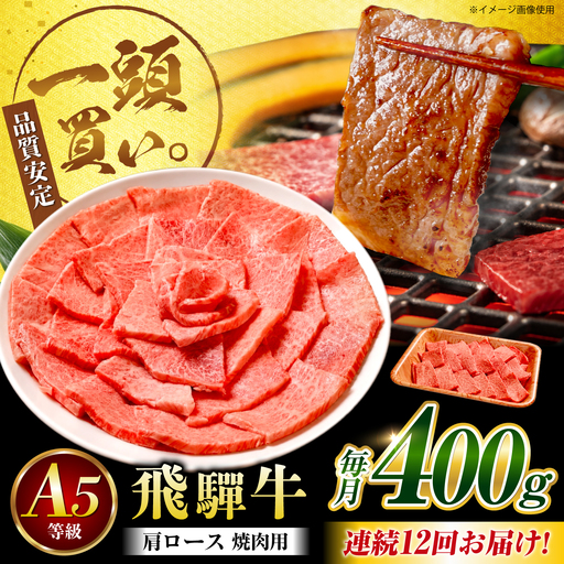 【12回定期便】飛騨牛 肩ロース(焼肉用)400g / 飛騨牛 国産 肩ロース ロース 焼肉 焼き肉 黒毛和牛 和牛 牛肉 BBQ 岐阜県 / 御嵩町 / 馬力家[AVBO107]