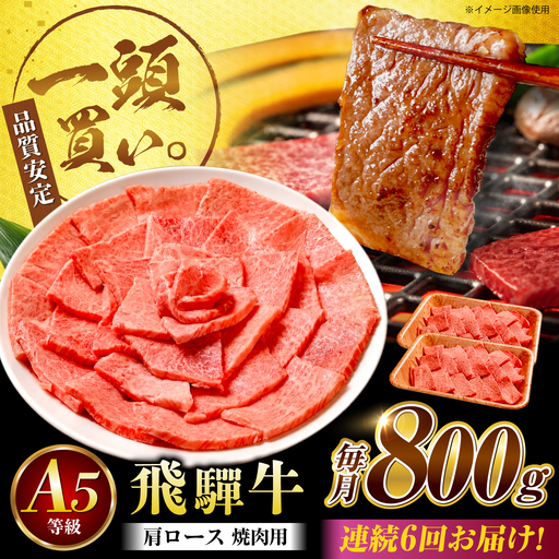 【6回定期便】飛騨牛 肩ロース(焼肉用)800g / 飛騨牛 国産 肩ロース ロース 焼肉 焼き肉 黒毛和牛 和牛 牛肉 BBQ 岐阜県 / 御嵩町 / 馬力家[AVBO109]