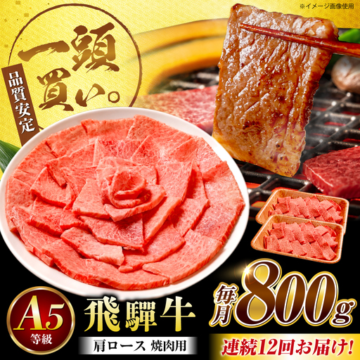 【12回定期便】飛騨牛 肩ロース(焼肉用)800g / 飛騨牛 国産 肩ロース ロース 焼肉 焼き肉 黒毛和牛 和牛 牛肉 BBQ 岐阜県 / 御嵩町 / 馬力家[AVBO110]