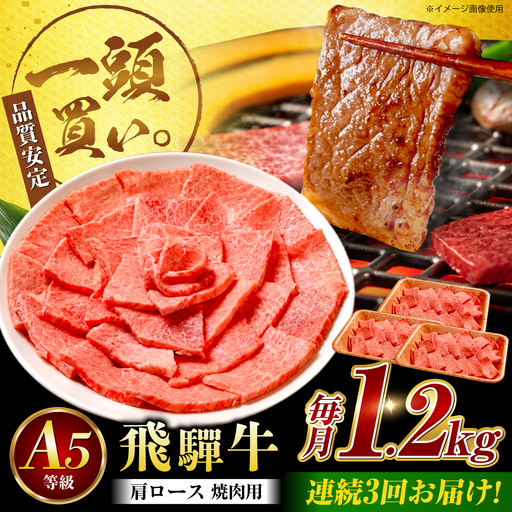【3回定期便】飛騨牛 肩ロース(焼肉用)1.2kg / 飛騨牛 国産 肩ロース ロース 焼肉 焼き肉 黒毛和牛 和牛 牛肉 BBQ 岐阜県 / 御嵩町 / 馬力家[AVBO111]