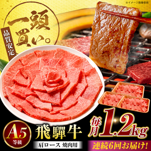 【6回定期便】飛騨牛 肩ロース(焼肉用)1.2kg / 飛騨牛 国産 肩ロース ロース 焼肉 焼き肉 黒毛和牛 和牛 牛肉 BBQ 岐阜県 / 御嵩町 / 馬力家[AVBO112]