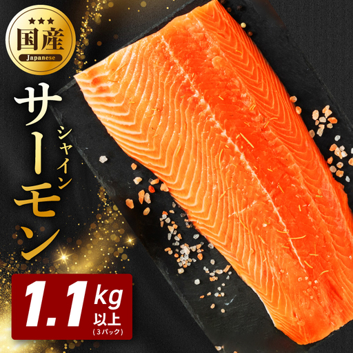 シャインサーモン 1.1kg以上