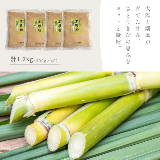 [自社工房手づくり]種子島 りんかけ堂 黒糖粉 (加工黒糖) セット NFN692 [200pt] // ふんまつ 粉 粉末 黒糖 こくとう さとうきび サトウキビ 自家製