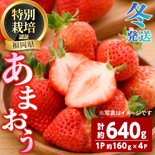 ＜先行予約受付中！2026年12月～2027年2月発送予定＞ うるう農園の あまおう MLサイズ (計約640g・約160g×4P) 苺 いちご イチゴ 果物 フルーツ 国産 福岡県 ヨーグルト ジャム スムージー 冷蔵 冬発送 特別栽培 ＜離島配送不可＞【ksg1954】【うるう農園】