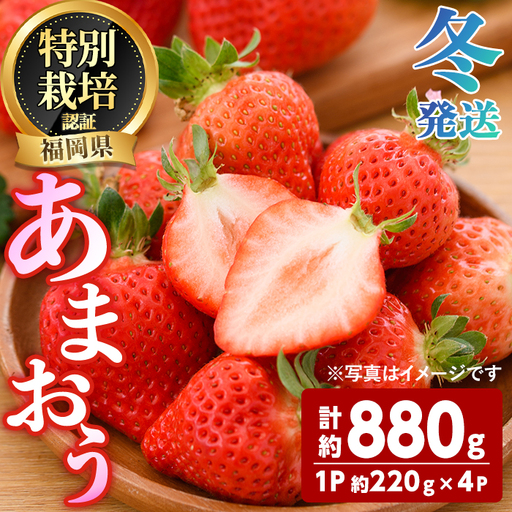 ＜先行予約受付中！2026年12月～2027年2月発送予定＞ うるう農園の あまおう 2Lサイズ (計約880g・約220g×4P) 苺 いちご イチゴ 果物 フルーツ 国産 福岡県 ヨーグルト ジャム スムージー 冷蔵 冬発送 特別栽培 ＜離島配送不可＞【ksg1960】【うるう農園】