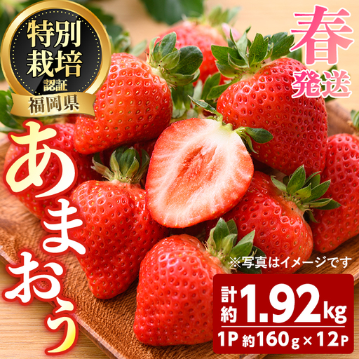 ＜先行予約受付中！2027年3月～4月発送予定＞ うるう農園の あまおう MLサイズ (計約1.92kg・約160g×12P) 苺 いちご イチゴ 果物 フルーツ 国産 福岡県 ヨーグルト ジャム スムージー 冷蔵 春発送 特別栽培 ＜離島配送不可＞【ksg1966】【うるう農園】
