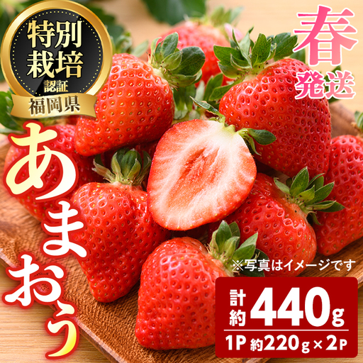 ＜先行予約受付中！2027年3月～4月発送予定＞ うるう農園の あまおう 2Lサイズ (計約440g・約220g×2P) 苺 いちご イチゴ 果物 フルーツ 国産 福岡県 ヨーグルト ジャム スムージー 冷蔵 春発送 特別栽培 ＜離島配送不可＞【ksg1969】【うるう農園】
