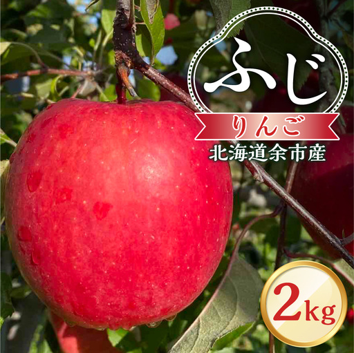 【先行予約：2026年12月上旬より発送】りんご（ふじ）2kg【北海道余市町産】_Y103-0077