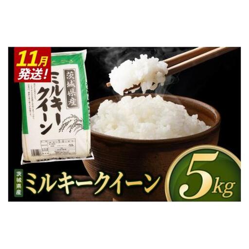 米 ミルキークイーン 精米 5kg 令和8年産 茨城県産 お米 こめ コメ ごはん 白米 みるきーくいーん 茨城県産米 単一米 単一原料米 送料無料 国産 数量限定（85-R8i253_11）
