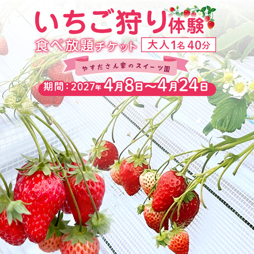 やすださん家のスイーツ園 いちご食べ放題1名40分食べ放題チケット 19-AM