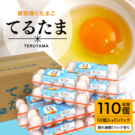 てるたま 10個入×11パック（割れ保障1パックサービス）てるたま 新鮮 鶏卵 玉子 卵かけご飯 卵かけごはん たまごかけご飯 卵焼き たまご焼き 玉子焼き 目玉焼き ゆで卵 栄養 22-J