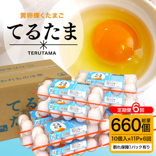 6か月定期 てるたま 10個入×11パック（割れ保障1パックサービス）てるたま 新鮮 鶏卵 玉子 卵かけご飯 卵かけごはん たまごかけご飯 卵焼き たまご焼き 玉子焼き 目玉焼き ゆで卵 栄養 22-L