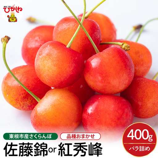 2027年産 さくらんぼ 佐藤錦 or 紅秀峰 400g バラ詰め さくらんぼ