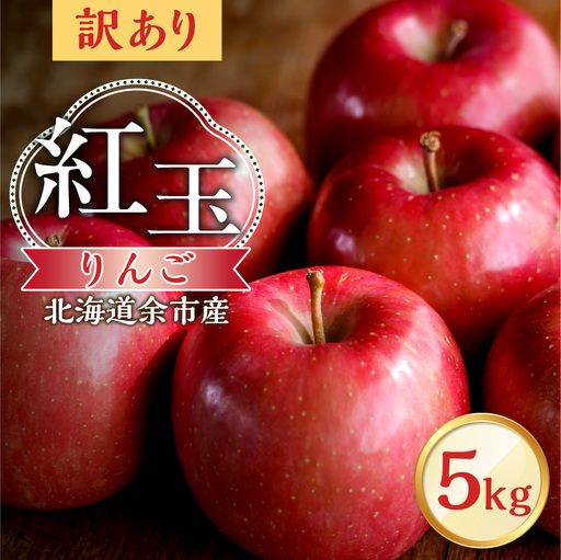 【先行予約：2026年10月中旬より発送】訳アリ りんご（紅玉）5kg【北海道余市町産】_Y103-0080