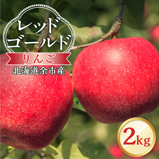 【先行予約：2026年10月中旬より発送】りんご（レッドゴールド）2kg【北海道余市町産】_Y103-0088