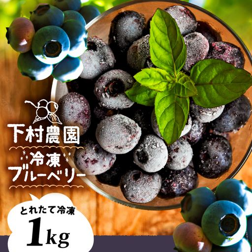 冷凍 ブルーベリー 1kg フルーツ 果物 ベリー